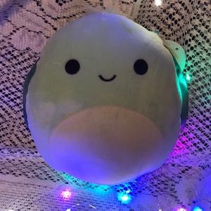 BNWT Onica 8in The turtle